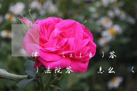 律師寫(xiě)答辯狀多少錢(qián)(法院答辯狀怎么寫(xiě))