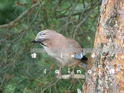 律師寫(xiě)訴狀費(fèi)用多少(請(qǐng)律師寫(xiě)起訴狀需要多少錢(qián))