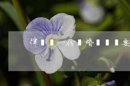律師寫一份離婚協議書要多少錢