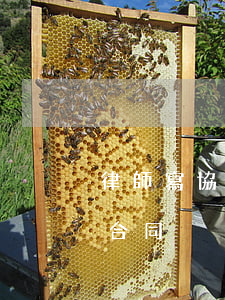 律師寫協(xié)議一般收多少錢(律師寫合同)