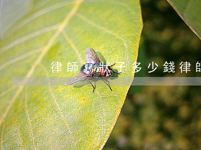 律師寫狀子多少錢(律師寫個訴狀多少錢)