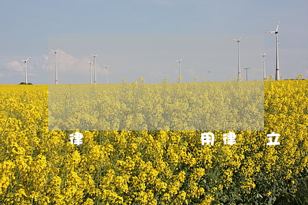 律師寫遺囑費用(律師立遺囑收費多少)