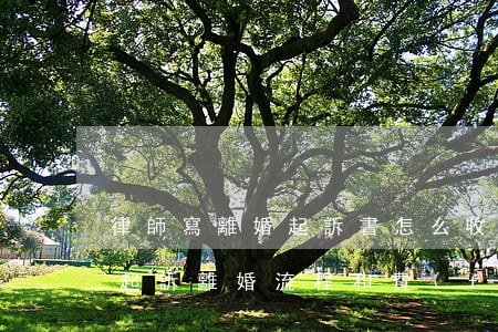 律師寫離婚起訴書怎么收費(fèi)(律師起訴離婚流程和費(fèi)用)