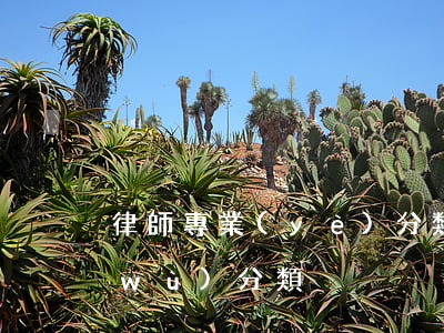 律師專業(yè)分類(律師業(yè)務(wù)分類)