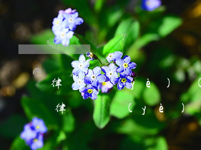 律師專業(yè)領(lǐng)域怎么寫(律師專業(yè)領(lǐng)域怎么寫)