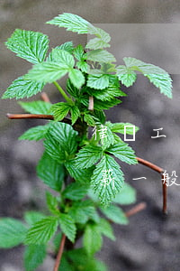 律師工資一般多少錢一個(gè)月(律師月薪一般多少錢)