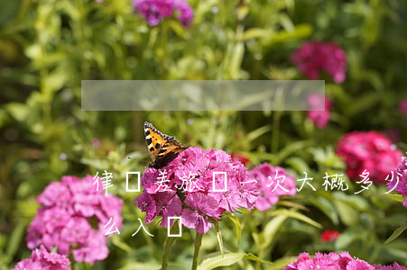 律師差旅費一次大概多少錢(律師的差旅費怎么入賬)