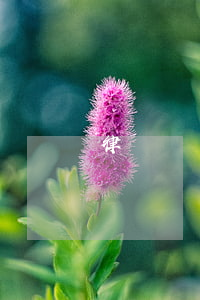 律師帶話多少錢(律師可以帶話進去嗎)