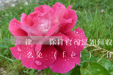 律師幫你打官司是如何收費(fèi)的(怎么免費(fèi)請律師打官司)