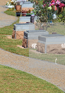 律師幫忙查身份信息多少錢(律師怎么查身份證號(hào)碼)