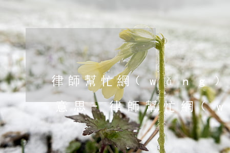 律師幫忙網(wǎng)貸停息掛賬是什么意思-律師幫忙網(wǎng)貸停息掛賬是什么意思啊