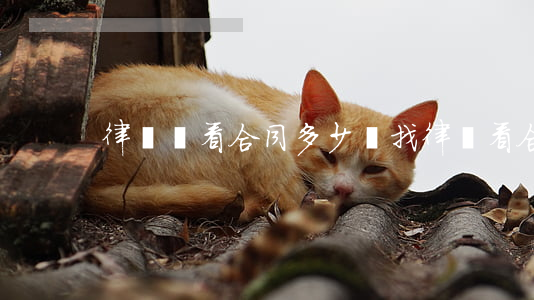 律師幫看合同多少錢(找律師看合同)