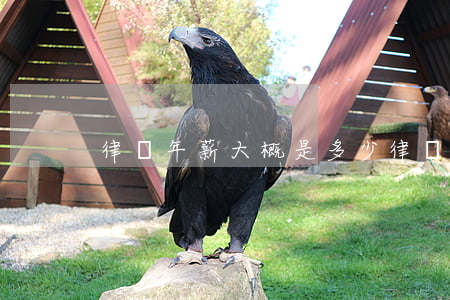 律師年薪大概是多少(律師年薪大概是多少)