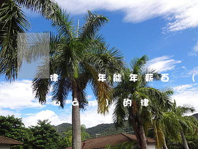 律師幾年能年薪百萬(wàn)(年薪千萬(wàn)的律師有多少)