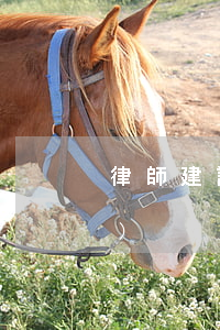 律師建議書(shū)(律師建議書(shū))