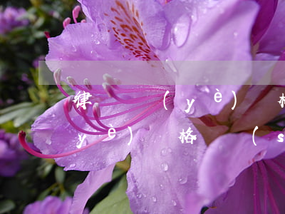 律師從業(yè)資格證好考嗎(律師職業(yè)資格證書(shū)難考嗎)