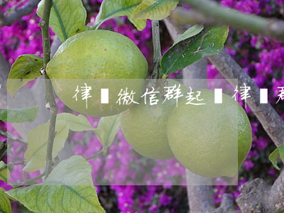 律師微信群起訴(律師群聊)