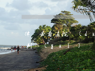 律師必看！法院對(duì)“套路貸”犯罪的裁判規(guī)則
