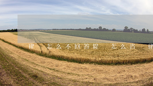 律師怎么不回答提問(怎么咨詢律師問題)