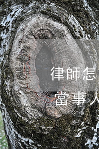 律師怎么協(xié)助當事人(律師可以幫當事人報警嗎)