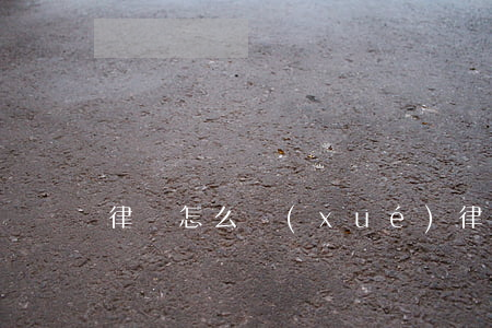律師怎么學(xué)(律師好學(xué)嗎)