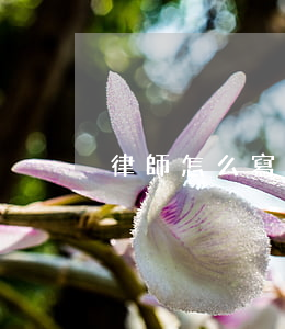 律師怎么寫書(律師寫的法律文書有哪些) 律師怎么寫書(律師寫的法律文書有哪些)