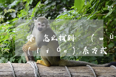 律師怎么找到債務(wù)人(怎么找律師聯(lián)系方式)