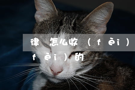 律師怎么收費(fèi)的(律師怎么收費(fèi)的)