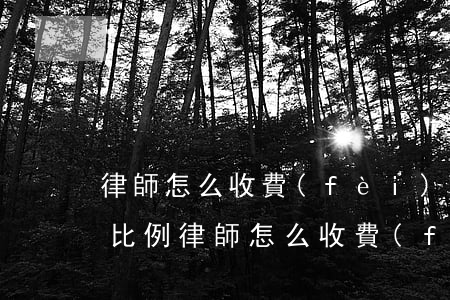 律師怎么收費(fèi)的 收費(fèi)比例(律師怎么收費(fèi)的,收費(fèi)比例)