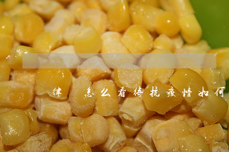 律師怎么看待抗疫情(如何看待抗疫)