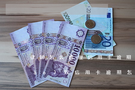 律師怎么處理信用卡逾期案件(被刑拘導(dǎo)致信用卡逾期怎么辦)