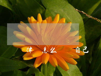 律師怎么訓練自己