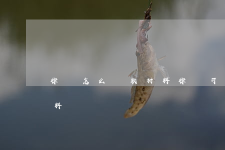 律師怎么調取材料(律師可以到公安局調取材料嗎)