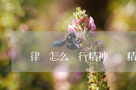 律師怎么進行精神賠償(精神損傷怎么賠付)