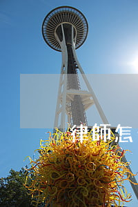 律師怎么選(律師怎么選)