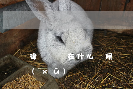 律師應該在什么時候請(請律師需要什么手續(xù)嗎?)