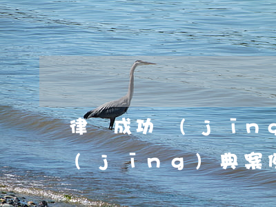 律師成功經(jīng)典案例(律師成功經(jīng)典案例簡(jiǎn)介)