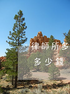 律師所多少錢(律師給律師事務(wù)所交多少錢)