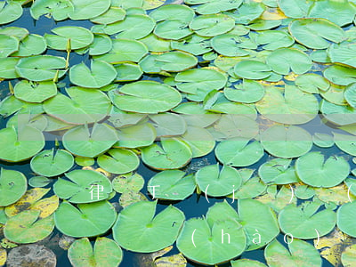 律師手機(jī)號(hào)碼大全(律師電話號(hào)碼是多少)