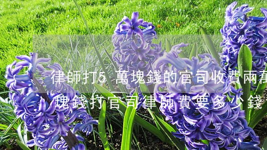 律師打5萬塊錢的官司收費兩萬合理嗎(兩萬塊錢打官司律師費要多少錢)