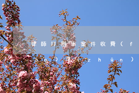 律師打刑事案件收費(fèi)有標(biāo)準(zhǔn)嗎(刑事律師一般是怎么收費(fèi)的)
