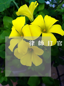 律師打官司怎么判刑