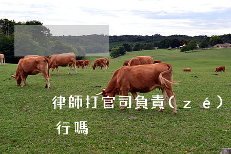 律師打官司負責(zé)強制執(zhí)行嗎