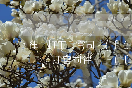 律師打工傷官司費(fèi)用怎么收(工傷賠償打官司律師費(fèi)多少錢(qián))