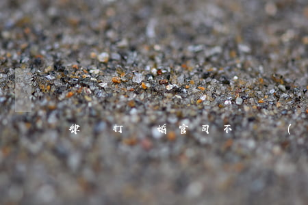 律師打離婚官司不專業(yè)