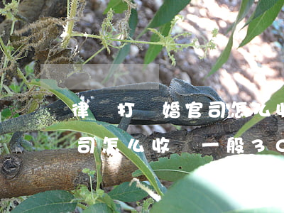 律師打離婚官司怎么收費一般(律師打離婚官司怎么收費一般30萬以內財產)