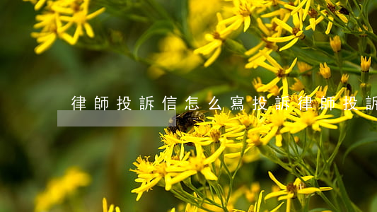律師投訴信怎么寫(投訴律師投訴信的格式)