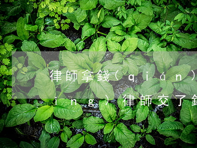 律師拿錢(qián)不盡力怎么辦(請(qǐng)律師交了錢(qián)不盡力怎么辦)