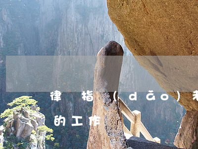 律師指導(dǎo)老師評語怎么寫(對律師的工作評價)