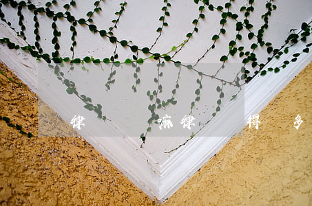 律師掙錢嘛(律師掙得錢多嗎)